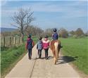 Veranstaltungsbild Rally mit dem Pferd durch Feld und Wald II